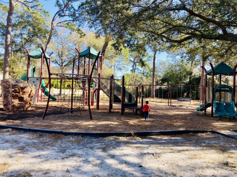Guide to Marshall Street Park in Safety Harbor
