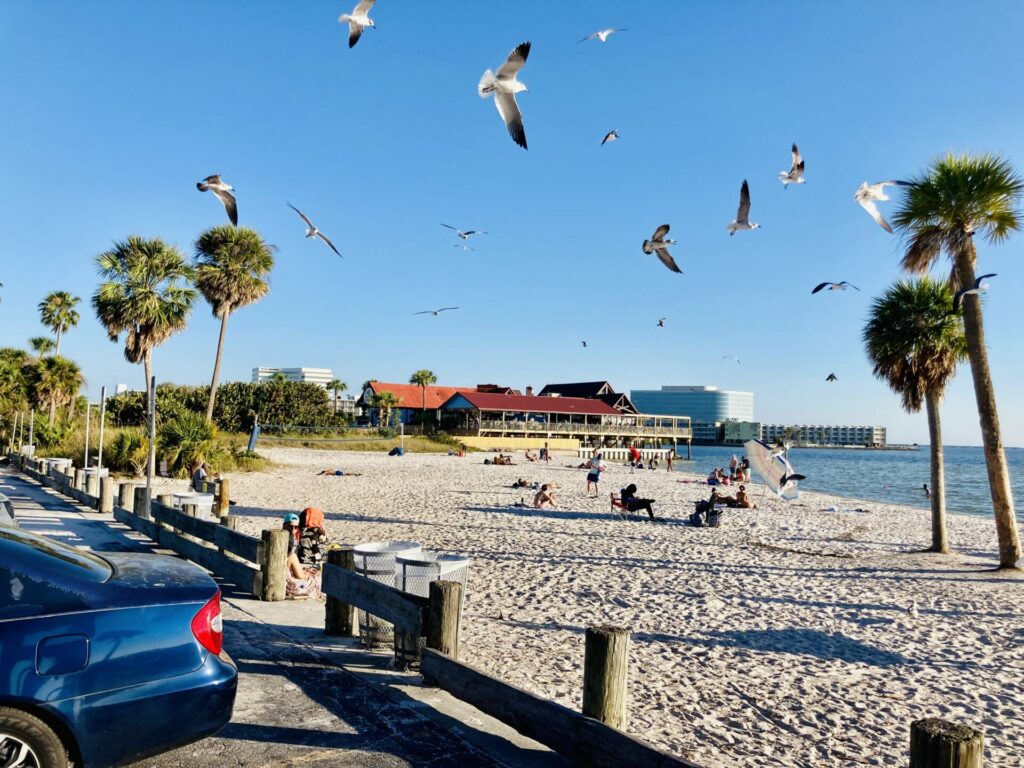 Guide to Ben T. Davis Beach in Tampa Bay