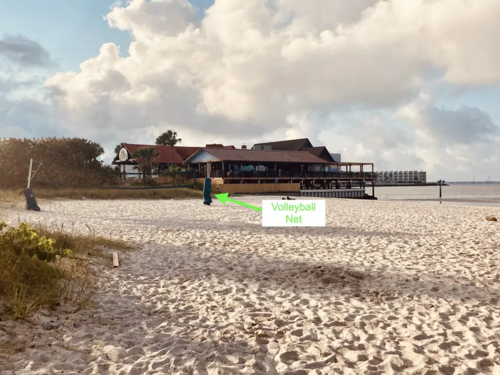 Ben T Davis Beach To University Of South Florida Hot Sale