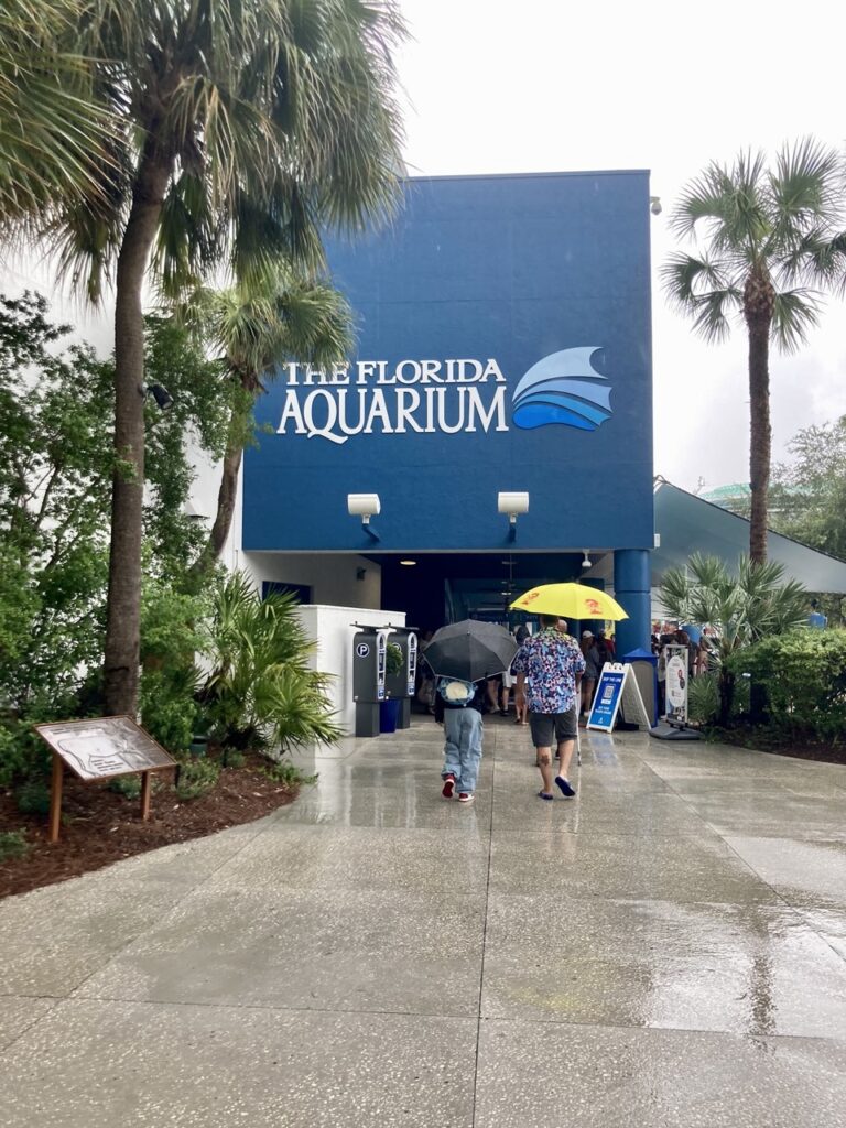Florida aquarium in the rain