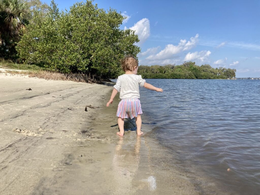 baby at philippe park in safety harbor fl