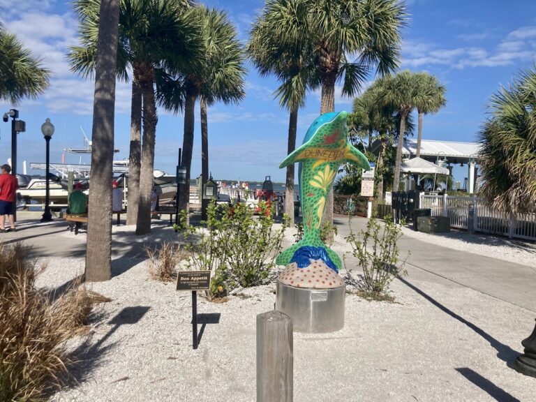 11 Things to Do With Kids in Dunedin, Florida