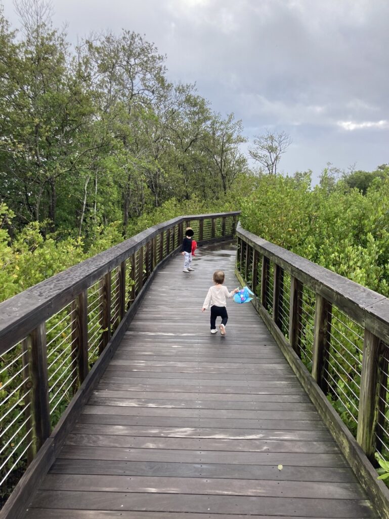 kids on safety harbor nature boardwalk