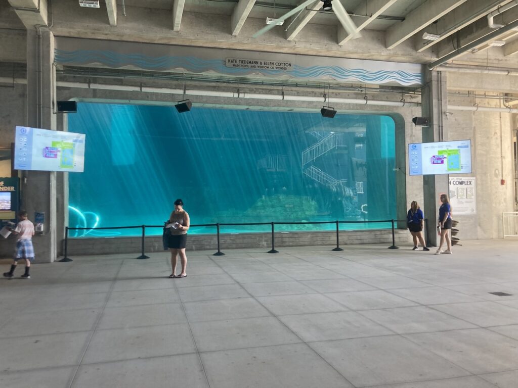 Large dolphin tank viewing area at the clearwater marine aquarium showing the big pane of glass and a few people looking at it