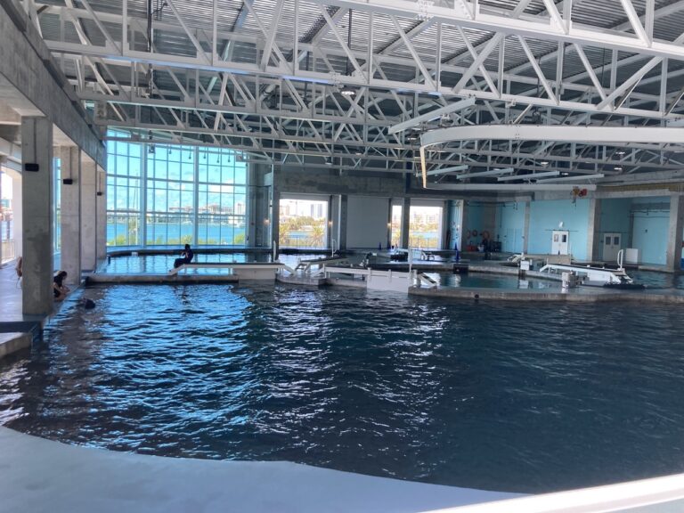 Top view of the dolphin tanks at the clearwater marine aquarium