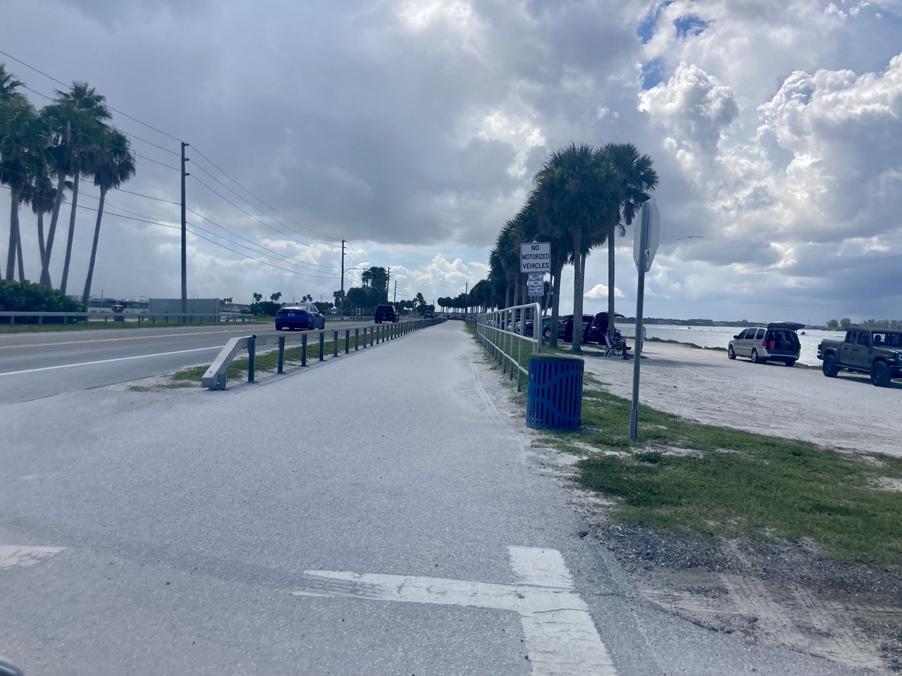 11 Things to Do With Kids in Dunedin, Florida Suncoast Family Fun