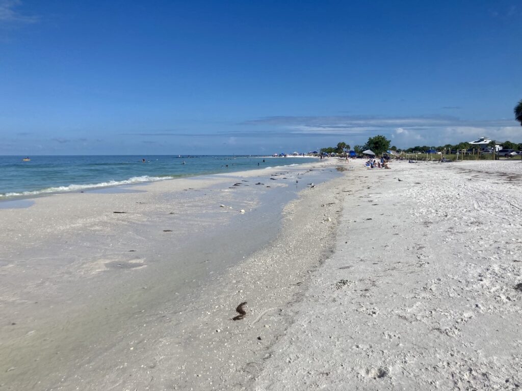 honeymoon island beach in pinellas county florida