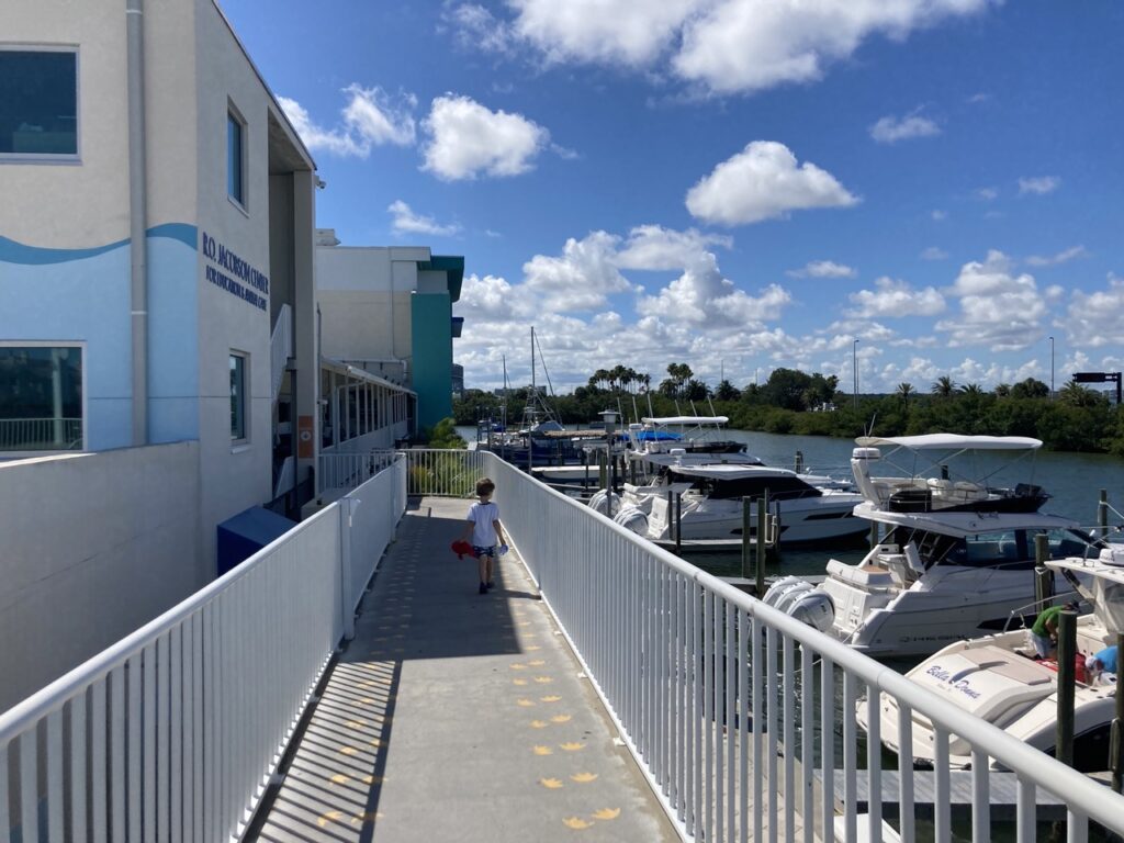 outside walkway at the clearwater marine aquarium with the building on the left and boats docked on the right