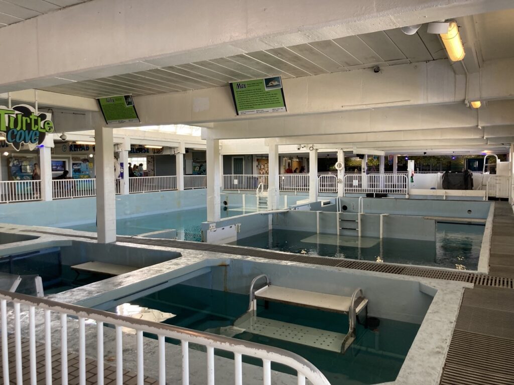 tanks and walkways at the clearwater marine aquarium