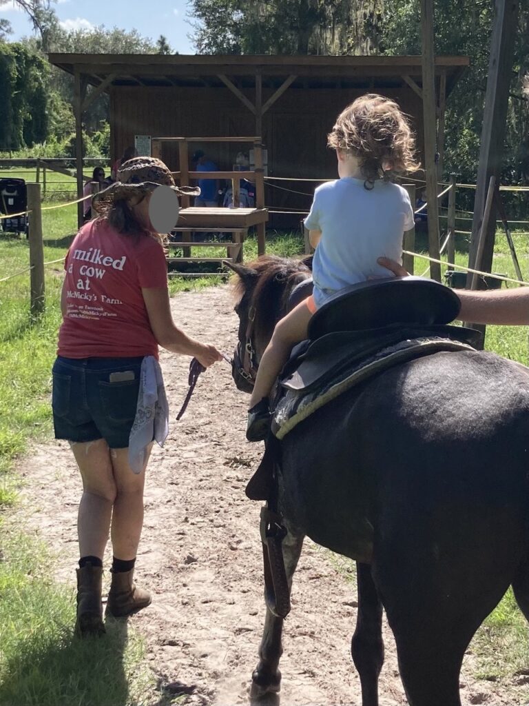 the back of a toddler riding a black pony at old mcmickys farm