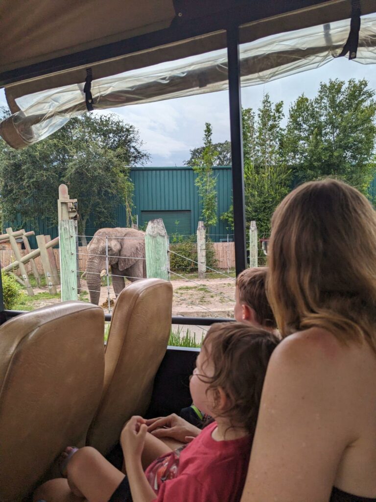 The backs of a mom and toddlers on ZooTampa safari ride looking at an elephant in the distance