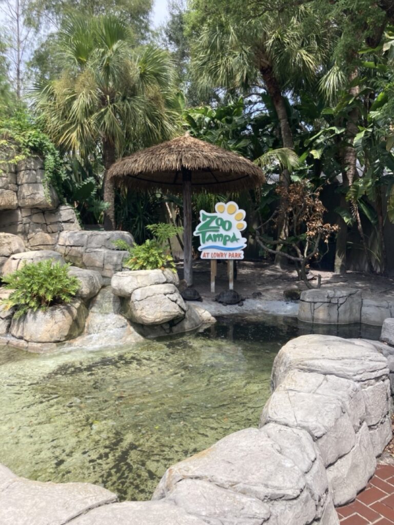 A turtle pond at the front of ZooTampa with a ZooTampa logo sign in it