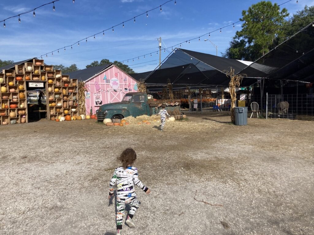 Toddlers running towards an old fashion truck at the pumpkin patch