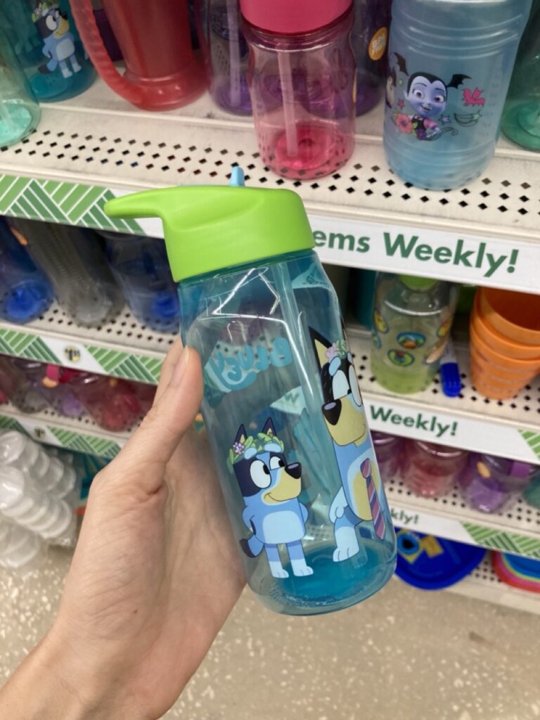 Bluey water bottle at the dollar tree