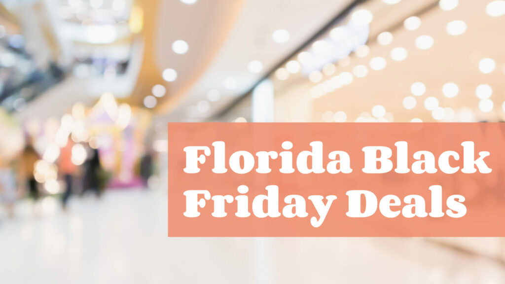 the background picture is very blurry of a mall and the text says florida black friday deals