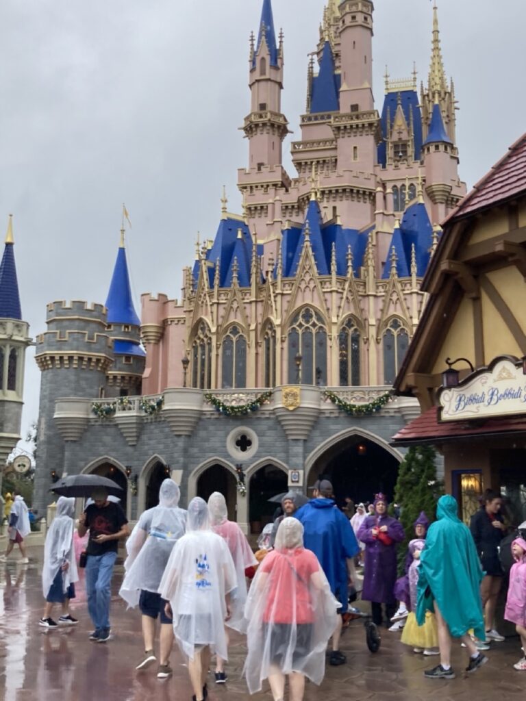 People in ponchos in the rain in front of Cinderella's castle at Magic Kingdom