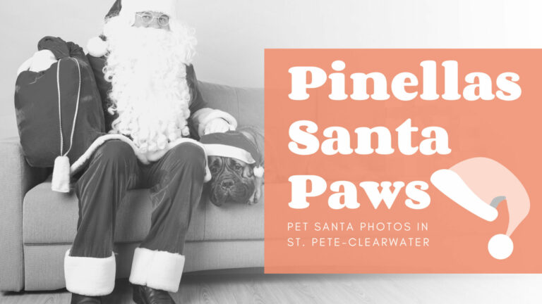 Santa Paws: Pet Santa Photos in Pinellas