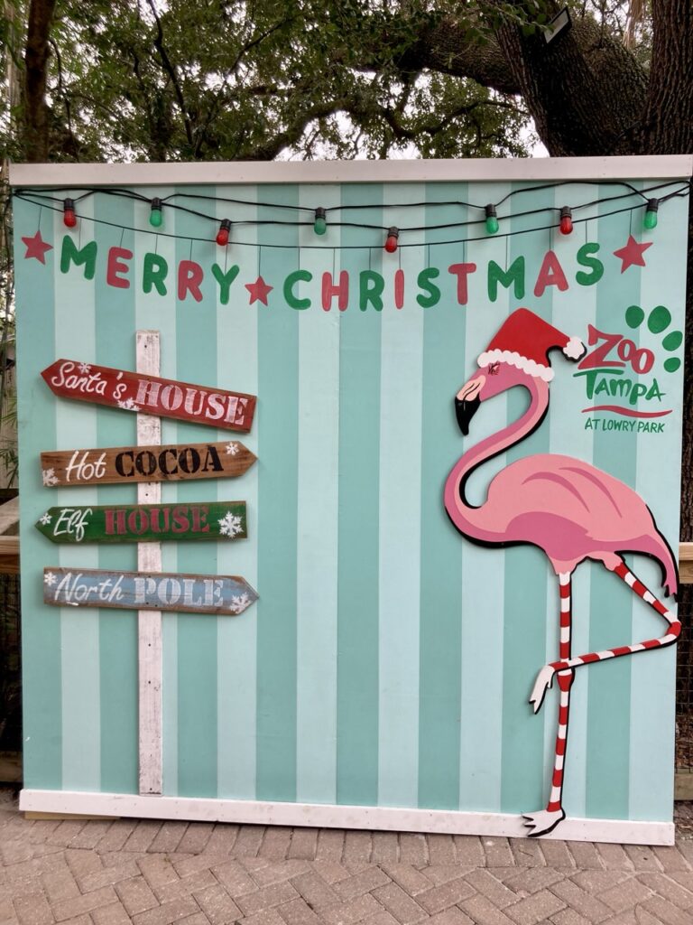 holiday decorations of a flamingo with a santa hat at zooTampa