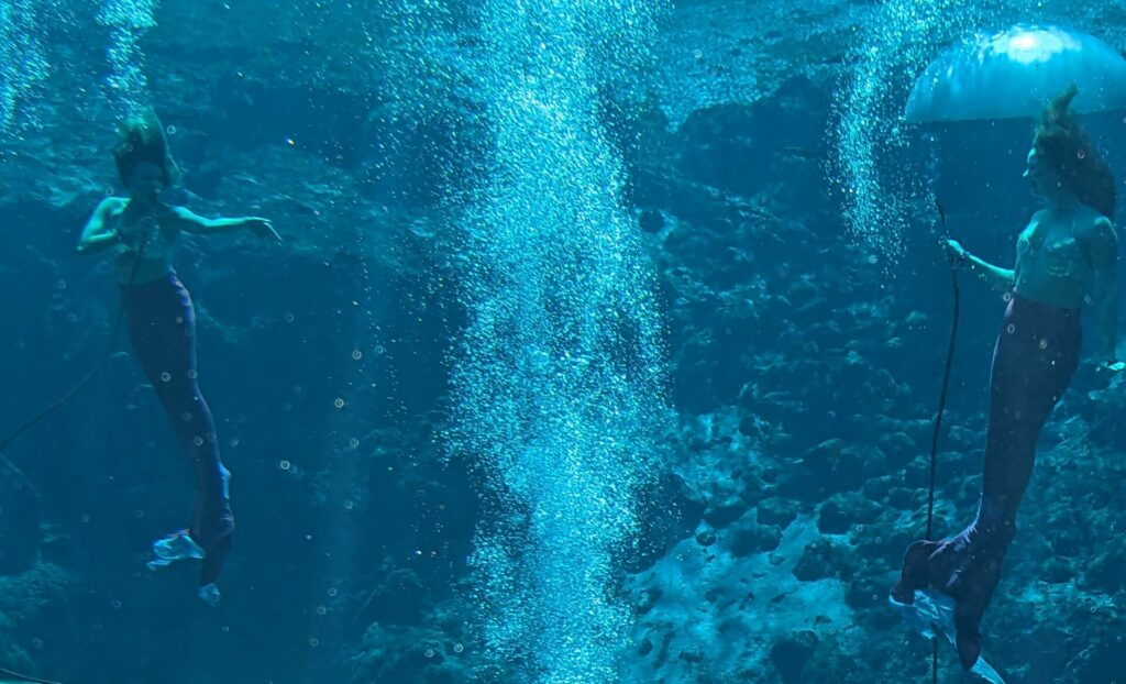 two mermaids underwater at Weeki Wachee