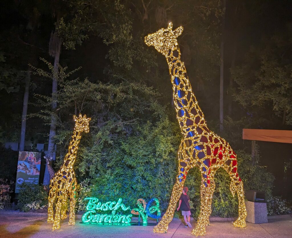 Christmas light giraffes at Busch Garden's enterance