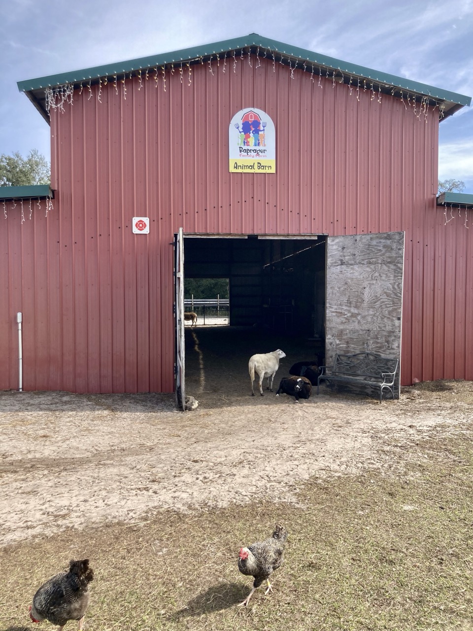 Raprager Family Farm Local's Review Suncoast Family Fun