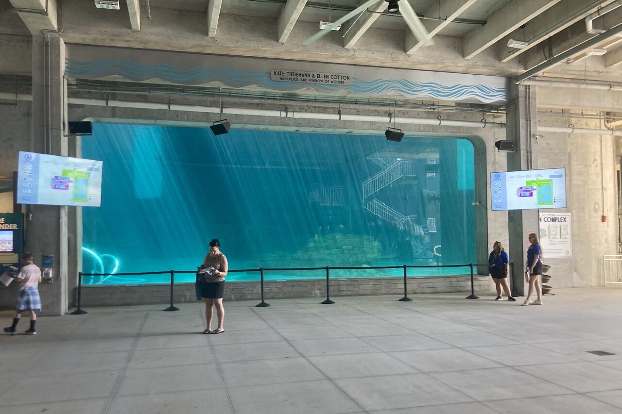 Large dolphin tank viewing area at the clearwater marine aquarium showing the big pane of glass and a few people looking at it