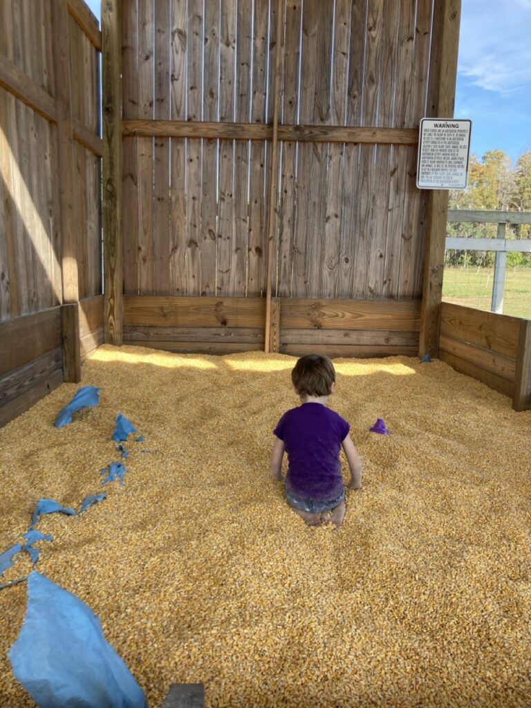 the back of a toddler in a corn pit