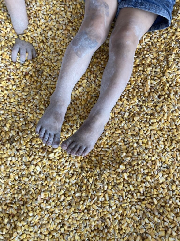 very dirty legs of a toddler with the corn of a corn pit around them