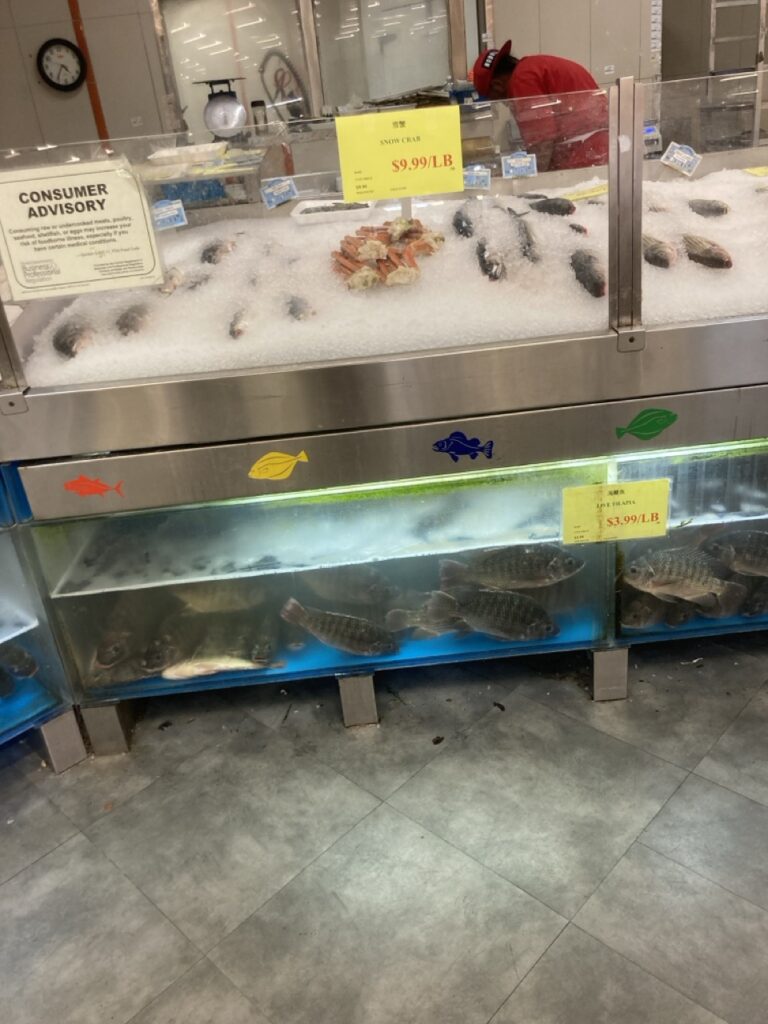 a seafood counter with live fish in tanks underneath it at MD Oriental Market