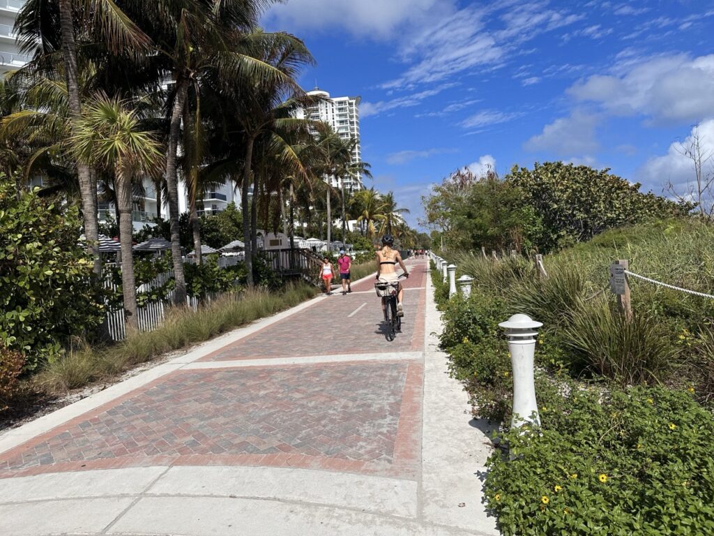 a brick path through Florida shrub and palm trees with a bicycle biking away from the camera