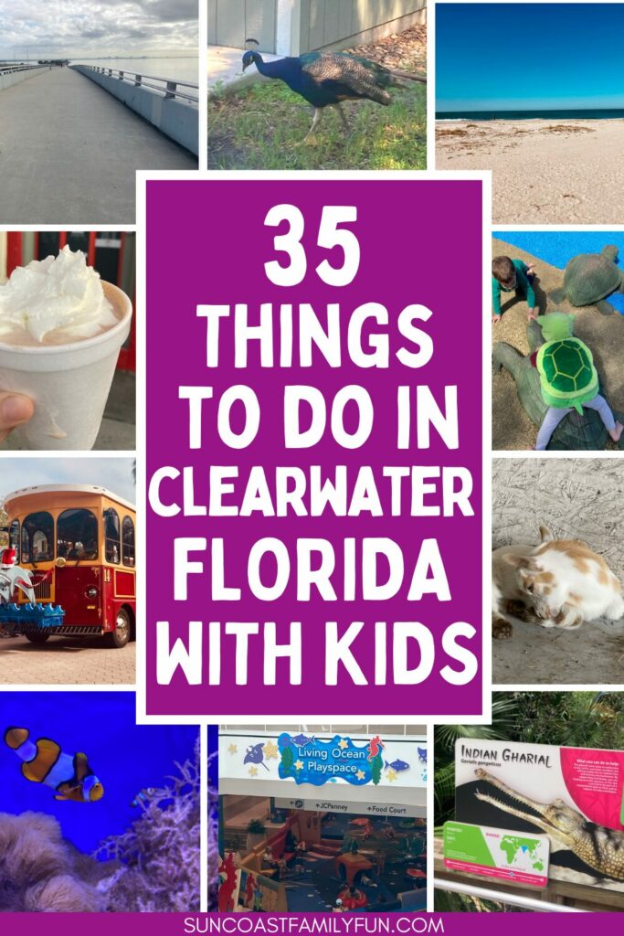 this is a collage image of things to do around clearwater florida like the beach and jolly trolley and animals. the text says 35 things to do in Clearwater Florida with kids