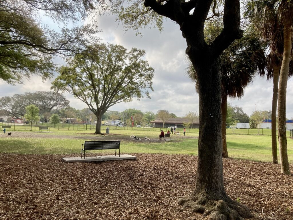 View of a dog park with a bench and dogs in the distance at Crest Lake park in Clearwater FL
