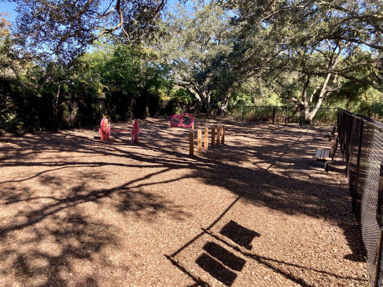 Dog Parks & Dog Beaches in Pinellas Suncoast Family Fun