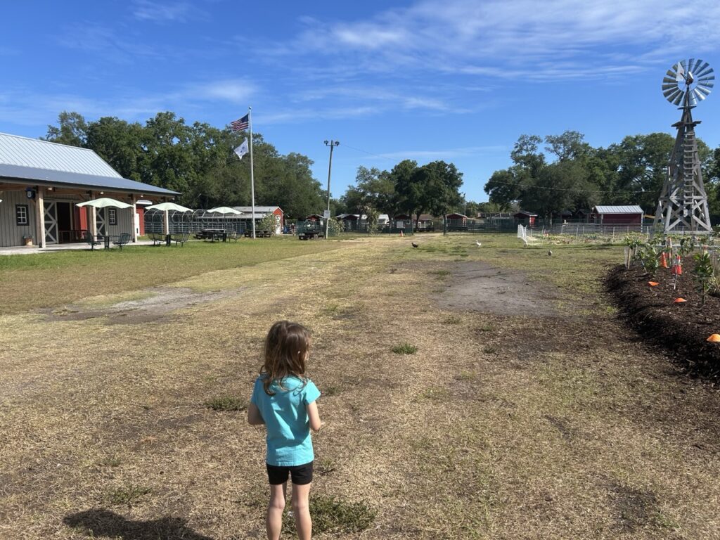 patti johnson farm in pinellas park