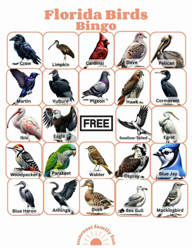 bingo card of birds with a title that says florida birds bingo