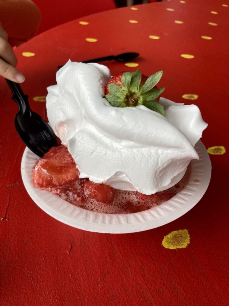 a bowl of strawberry shortcake with a huge amount of whipped cream