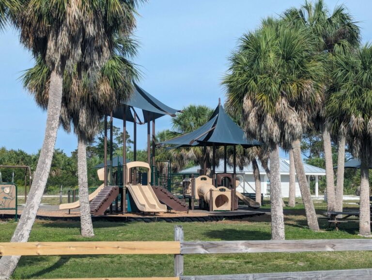 playground among palm trees in Florida