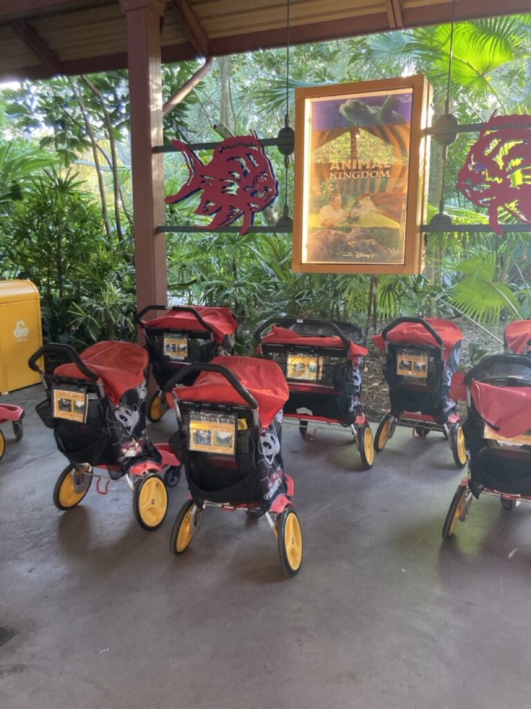 red disney strollers lined up at animal kingdom