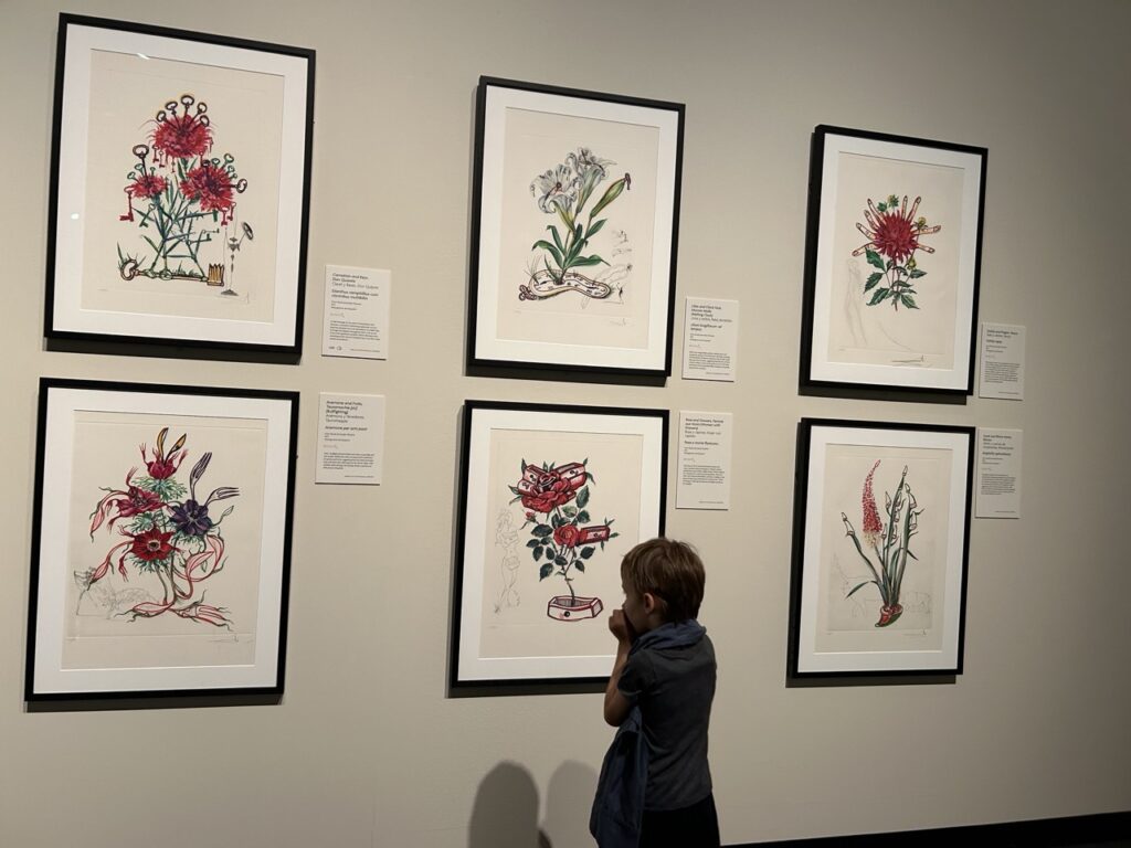 Child in front of six pictures hanging at the dali museum in st pete