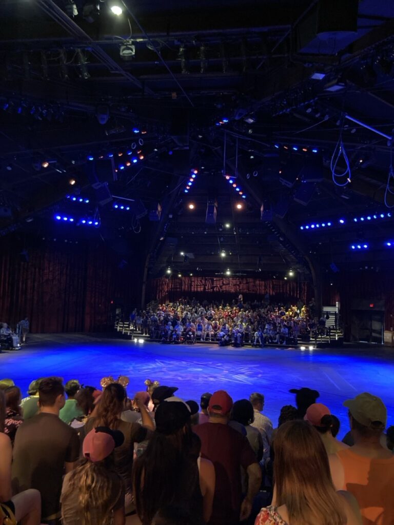 Inside the theater at the lion king show in animal kingdom