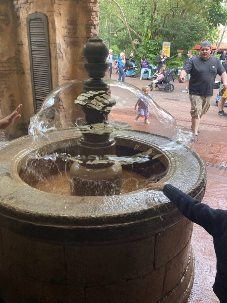 fountain at Animal Kingdom in Disney