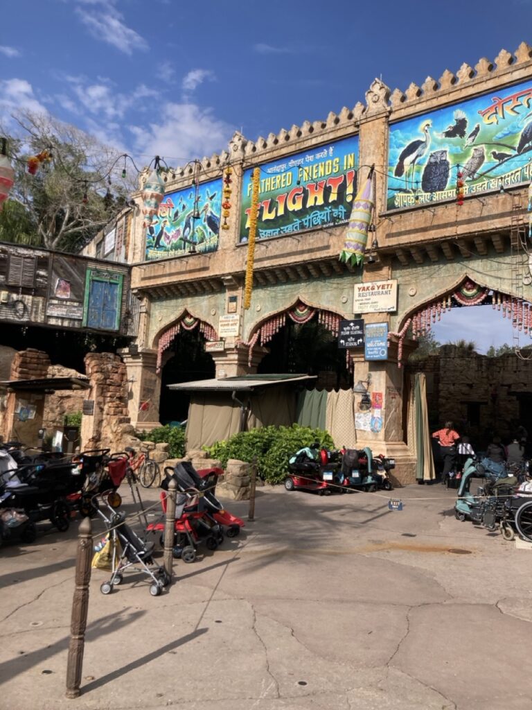 the entrance to the bird show at animal kingdom