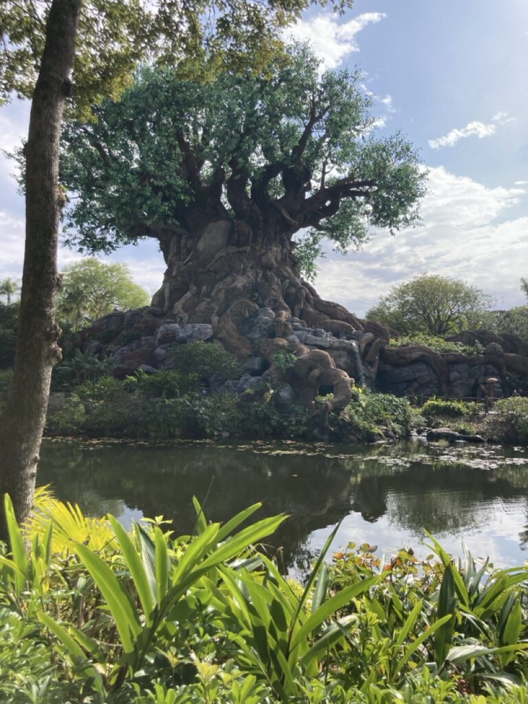 tree of life at animal kingdom from the back