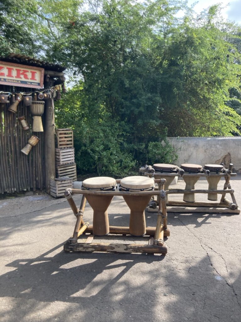 drums at Animal Kingdom at Disney world