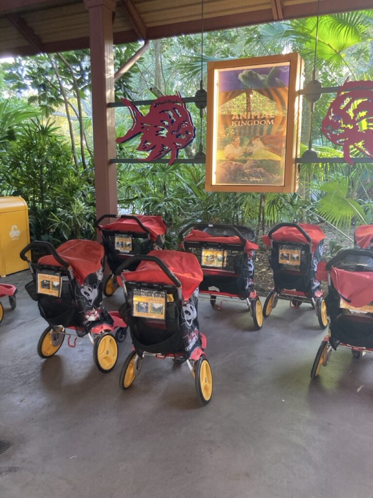strollers you can borrow at the conservation station at animal kingdom