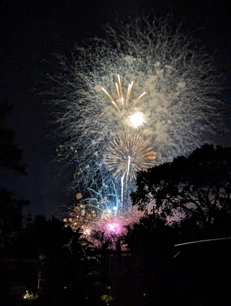 4th of July Events in Pinellas (2024)