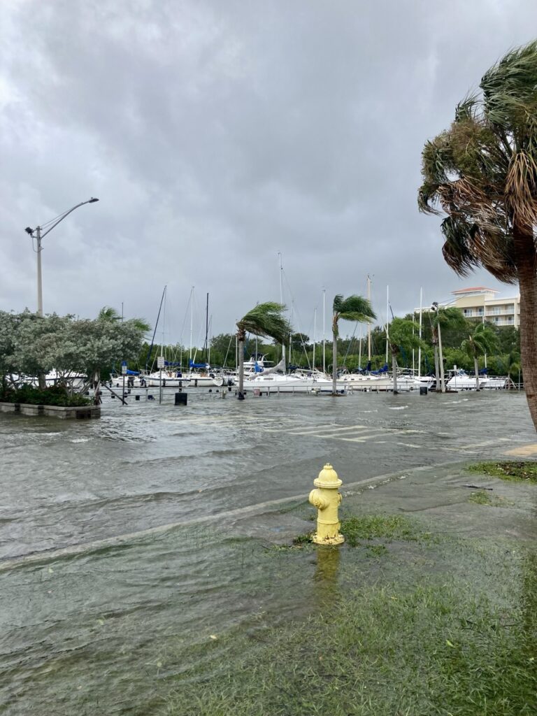Hurricane flooding in Pinellas County, Florida. Water going over a road and sidewalk up to a fire hydrant and palm trees blowing in the wind in the background