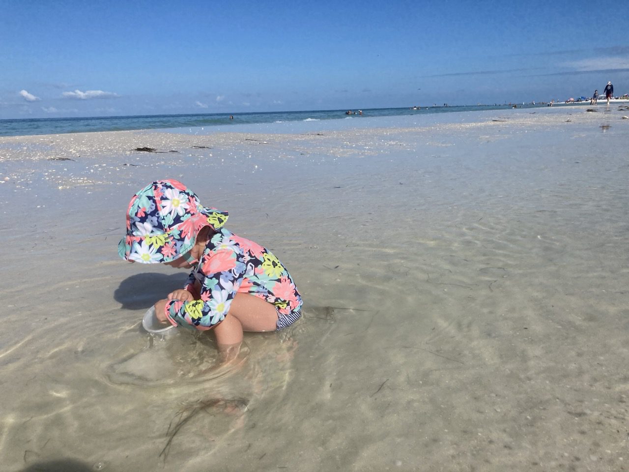 Honeymoon Island State Park Local's Guide Suncoast Family Fun