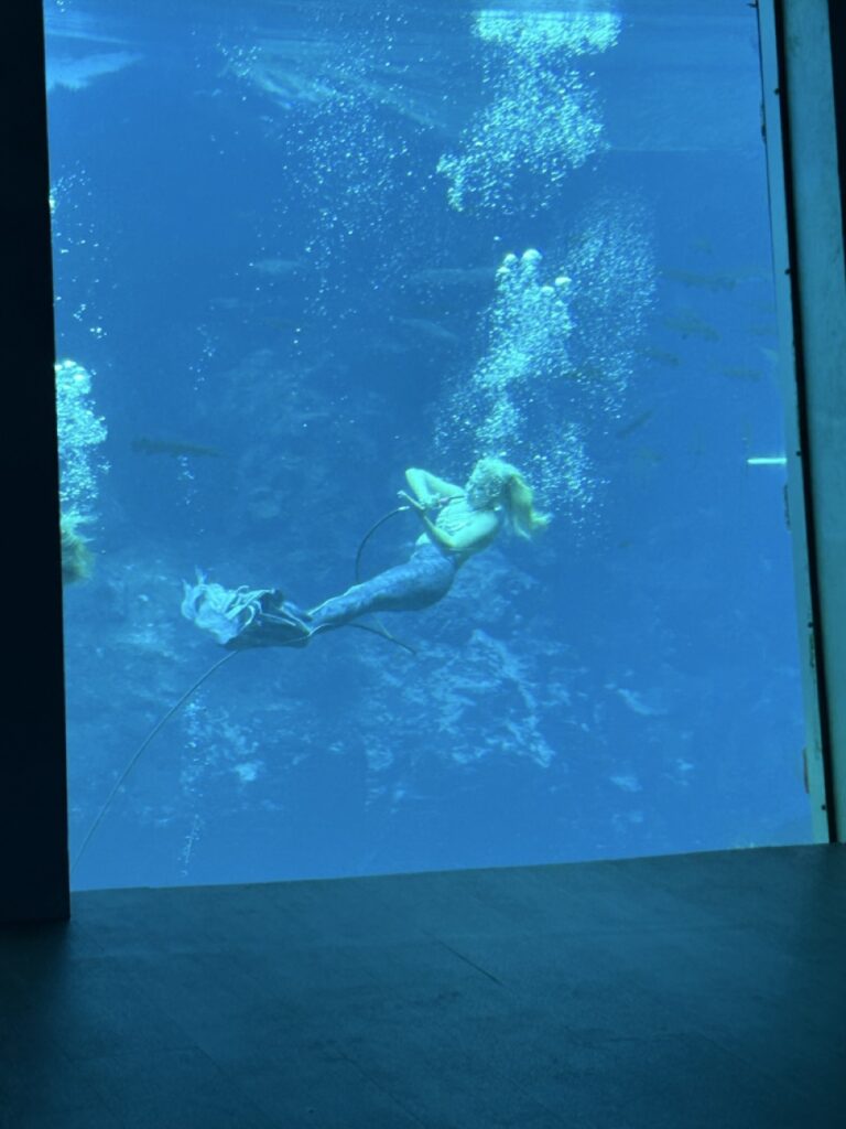 mermaid swimming at weeki wachee