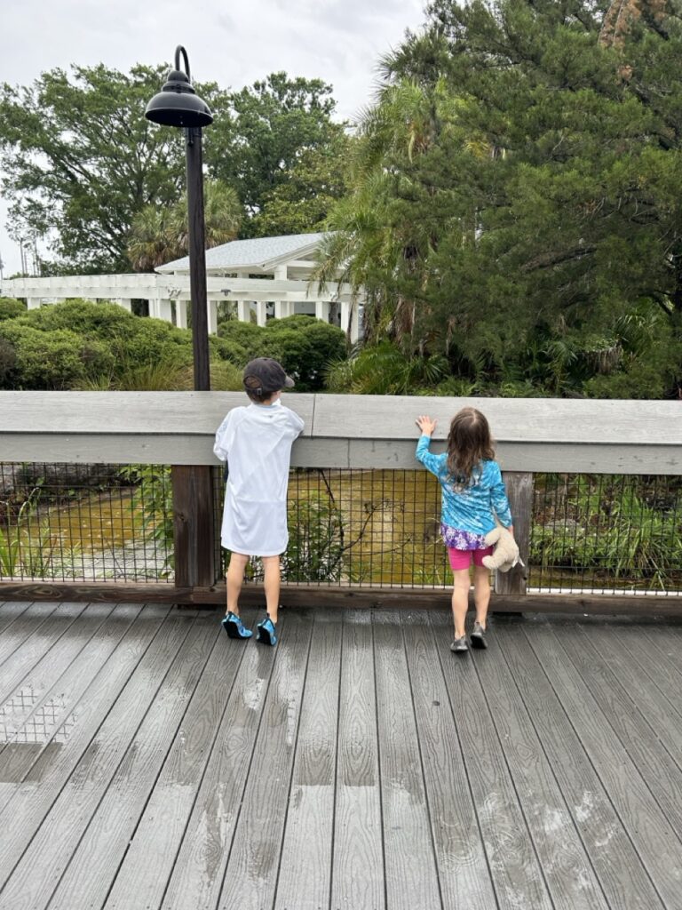 the back of preschoolers in the rain at weeki wachee